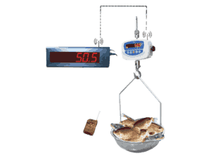 BenchScale